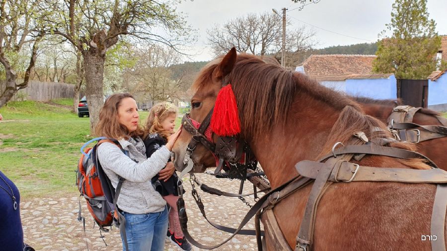 רומניה פסח 2019